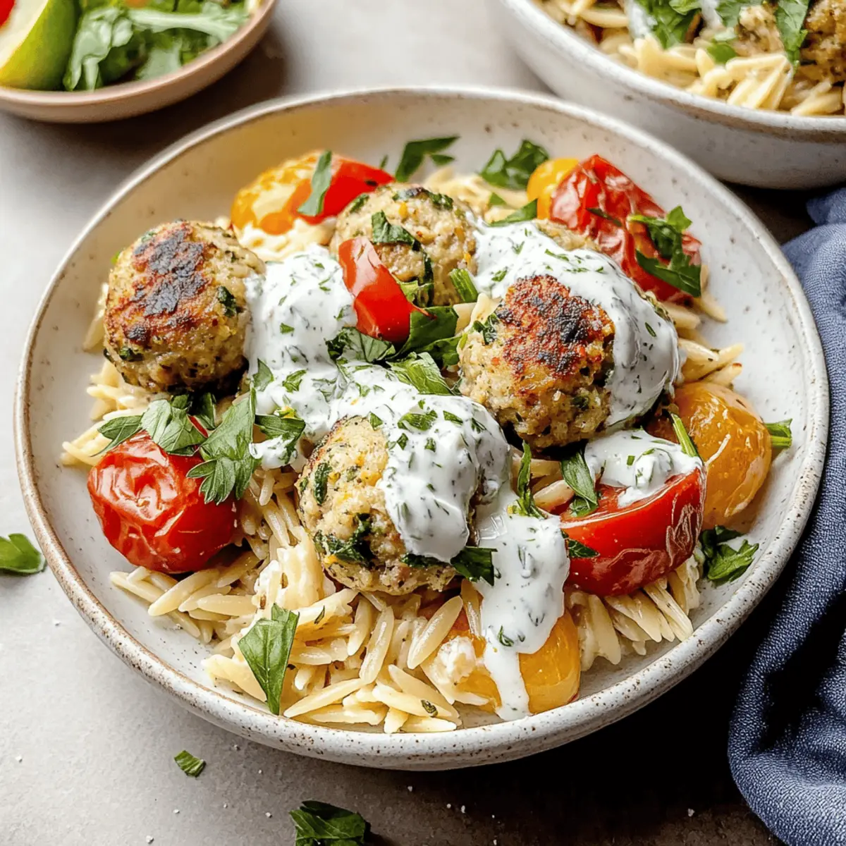 Savory Greek Turkey Meatballs with Zesty Orzo Delight